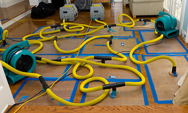 Professional Burst Pipe Water Damage technician working in Harvey, ND