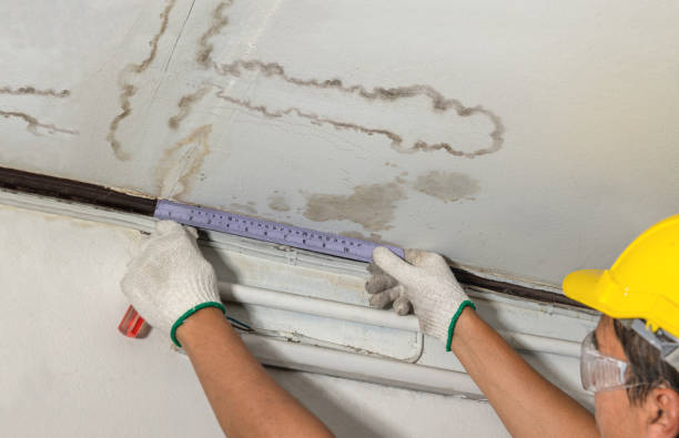 Affordable Water Damage Repair solutions in Harvey, ND